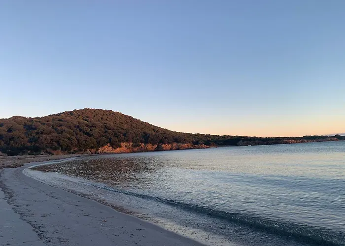 Jolie Maison Individuelle Dans L'extreme Sud 莫纳奇亚道勒内